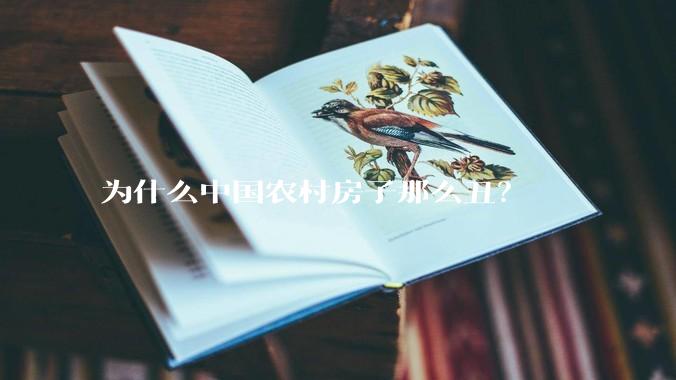 为什么中国农村房子那么丑？
