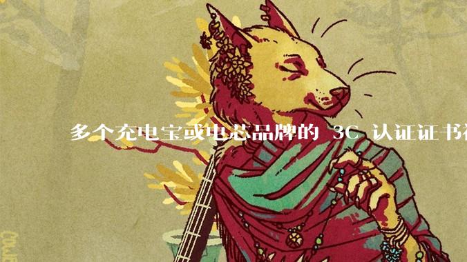 多个充电宝或电芯品牌的 3C 认证证书被暂停，涉及罗马仕、安克、绿联、倍思、安普瑞斯等，发生了什么？