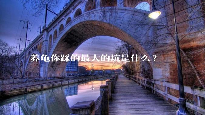 养龟你踩的最大的坑是什么?