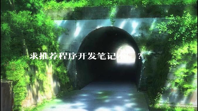 求推荐程序开发笔记本！?